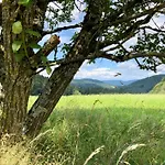 Ferien Im Schwarzwald *
