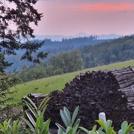 Ferien Im Schwarzwald בית הארחה פריאמט