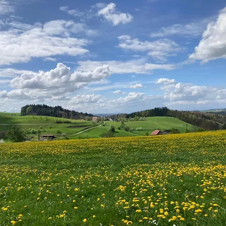 Гостевой дом Ferien Im Schwarzwald *