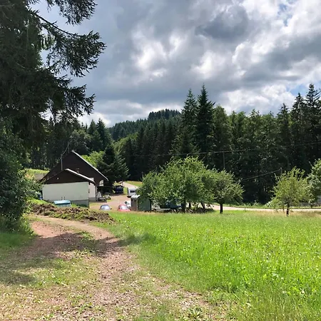 Ferien Im Schwarzwald Gæstehus Freiamt