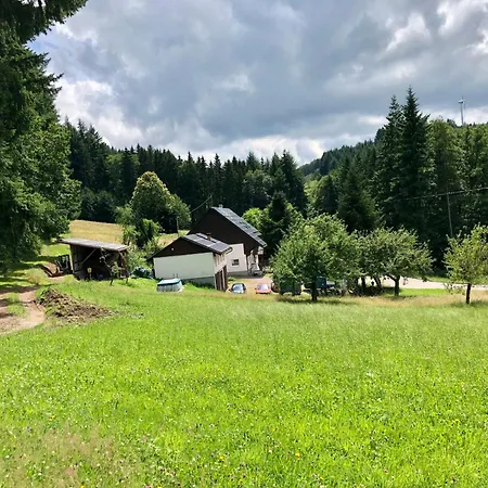 招待所 Ferien Im Schwarzwald Freiamt
