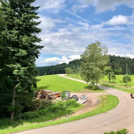 Гостевой дом Ferien Im Schwarzwald *