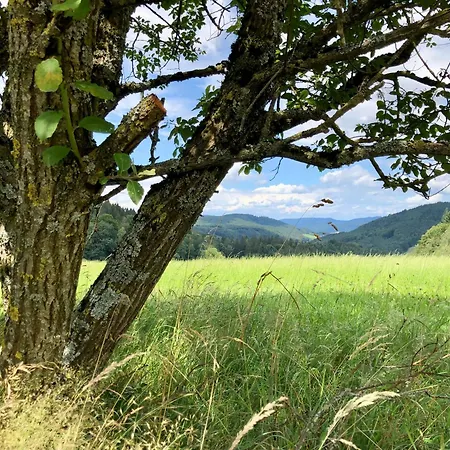 Ferien Im Schwarzwald *