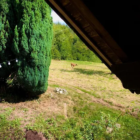 Konukevi Ferien Im Schwarzwald Freiamt