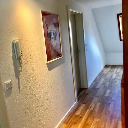 Ferien Im Schwarzwald Gæstehus *